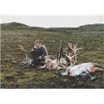 Programa Nº 21. Caza Mayor: Viaje a Islandia de 5 días con 3 días de caza para el abate de 1 CARIBOU para grupo de 2 cazadores en 2 x 1. Travelcaza.com - El primer operador de servicios cinegéticos