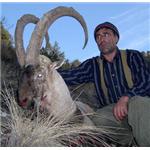 Programa Nº 29. Caza Mayor: 29. Viaje de caza a Armenia de 6 días con 5 días de caza para abate de 1 IBEX DE BEZOAR sin límite de puntos en 1 x 1. Travelcaza.com - El primer operador de servicios cinegéticos
